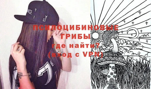 гидропоника Абаза