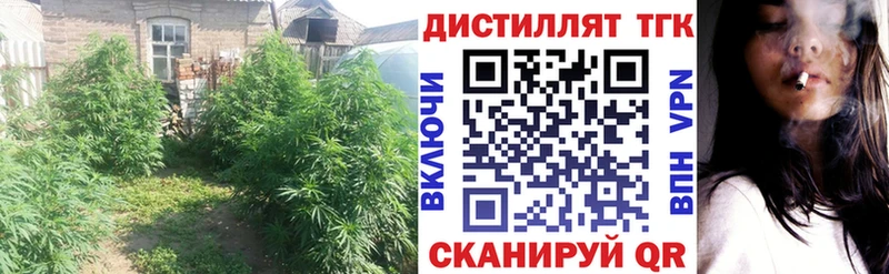 Дистиллят ТГК гашишное масло  нарко площадка как зайти  Шумерля 