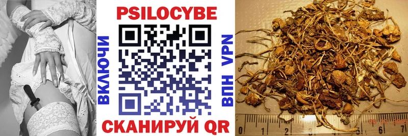 Галлюциногенные грибы прущие грибы  Шумерля 
