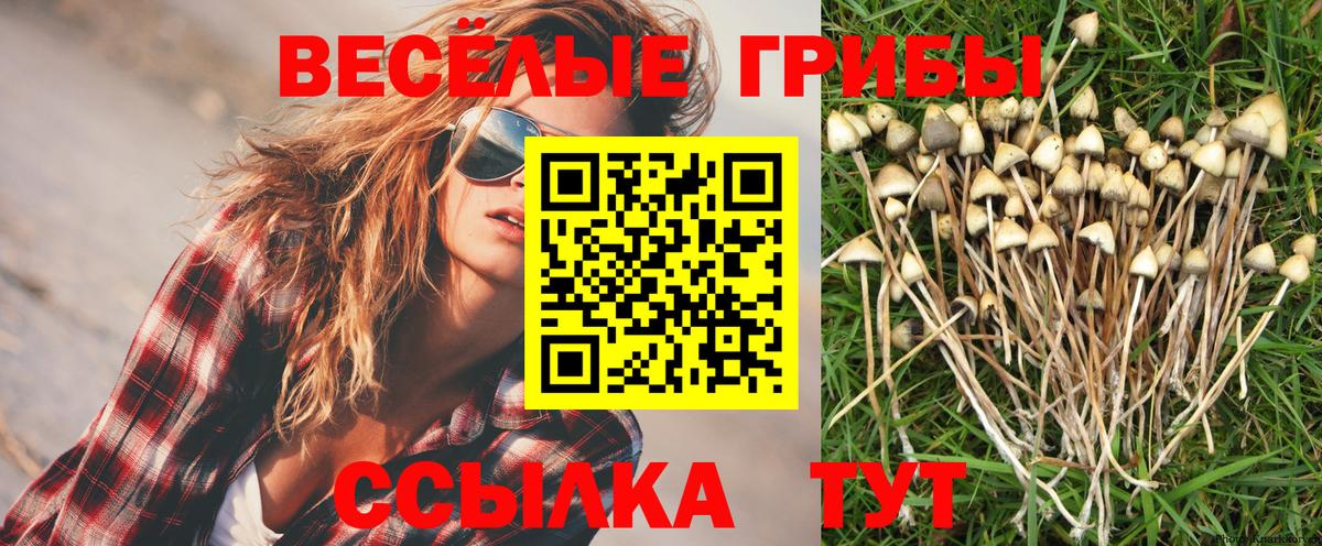 Галлюциногенные грибы Cubensis  Вход с VPN  Шумерля 