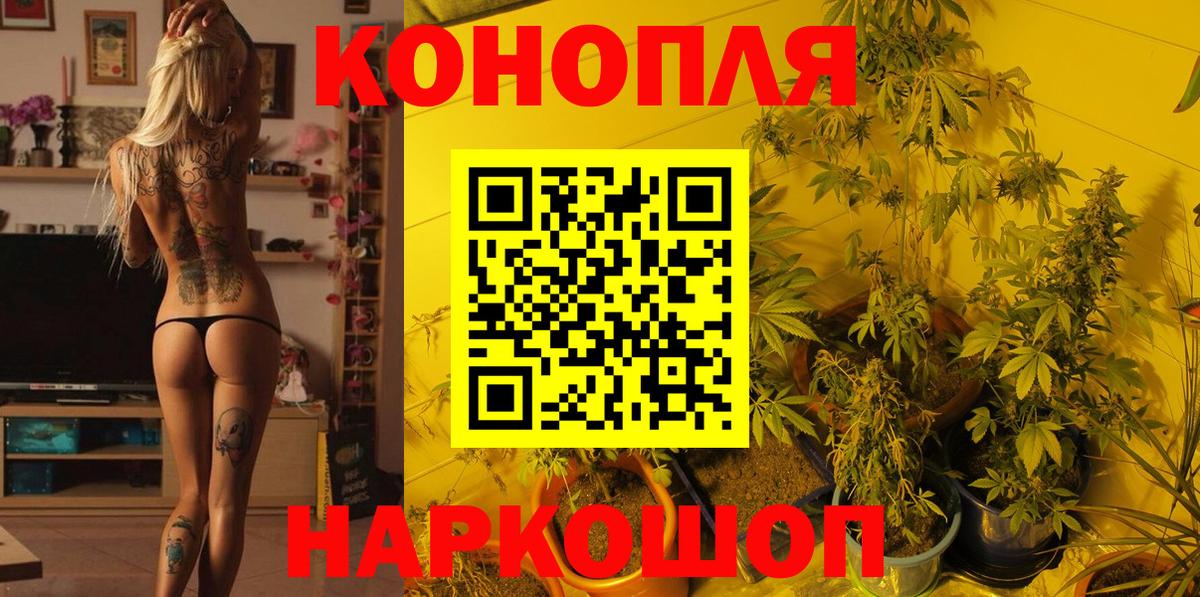 Шишки марихуана SATIVA & INDICA  МАРИХУАНА ГИДРОПОН  Шишки марихуана THC 21%  Шумерля  Вход с VPN 